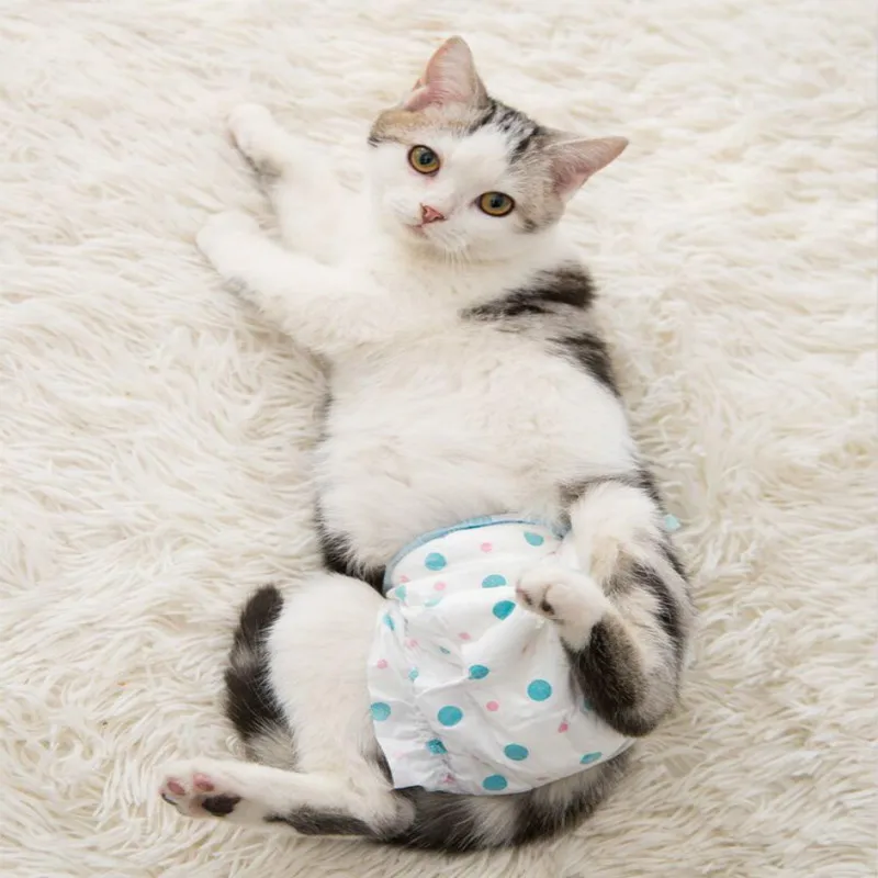 (10pcs/Pack)Comfortable Cat Menstrual Care Pads Rapid Absorption Pet Sanitary Napkin Soft Diapers Physiological Pants For Kitten