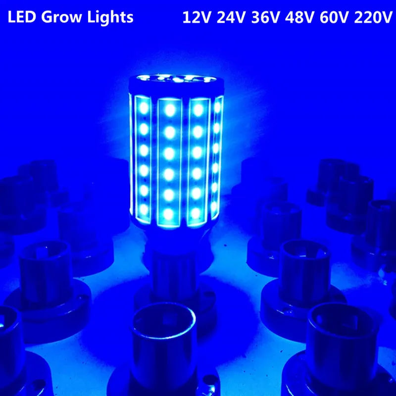 Luz led milho vermelho azul verde decoração luz e27 e26 e14 b22 lâmpada ac220v ac110v dc12v smd 5730 lâmpada crescente para estufa