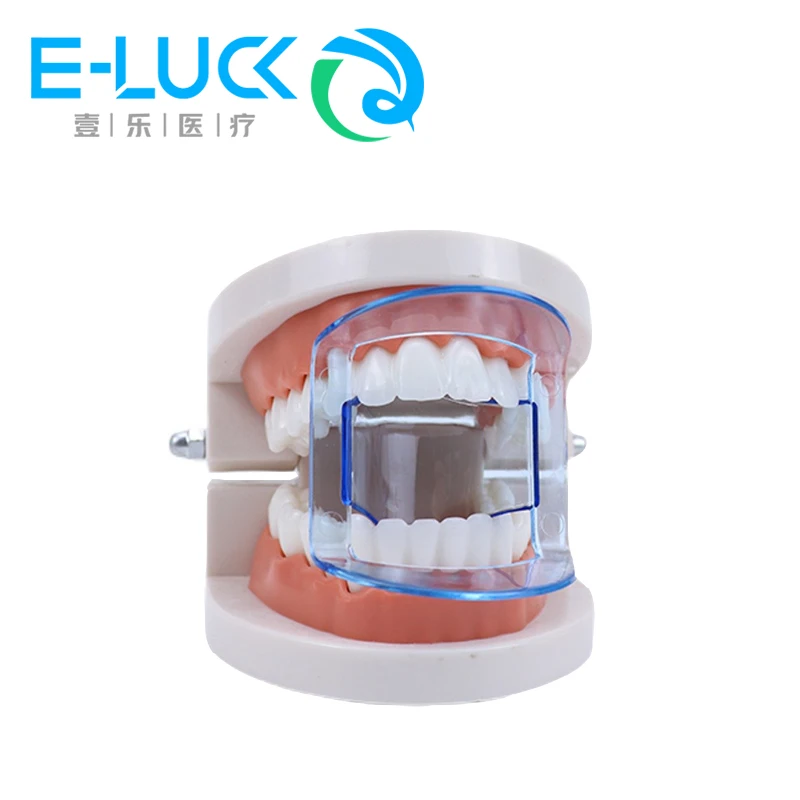 Dental Teeth Retractor Orthodontic Teeth Opening Anterior Posterior Cheek Retractor Expander Dental Accessories