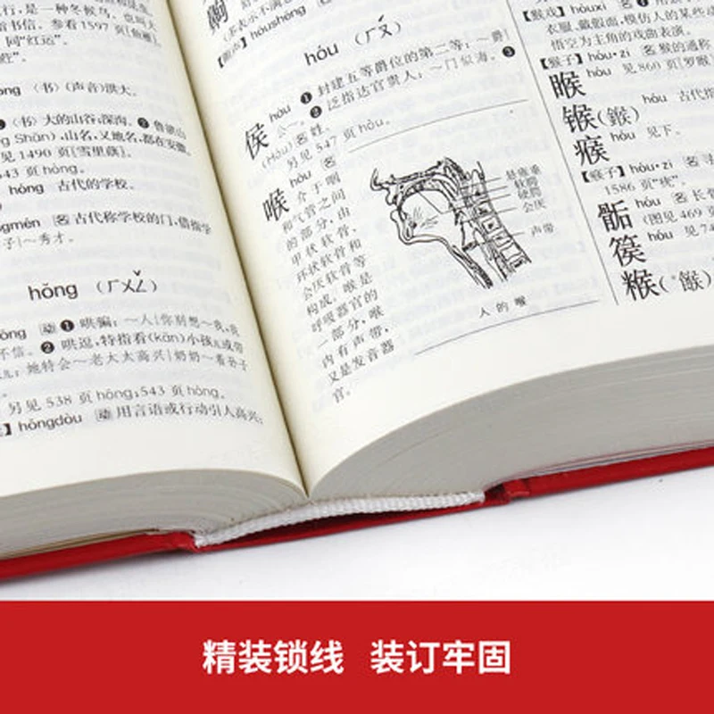 modern Chinese dictionary The Commercial Press Large Dictionary learn to chinese book tool Chinese character hanzi book