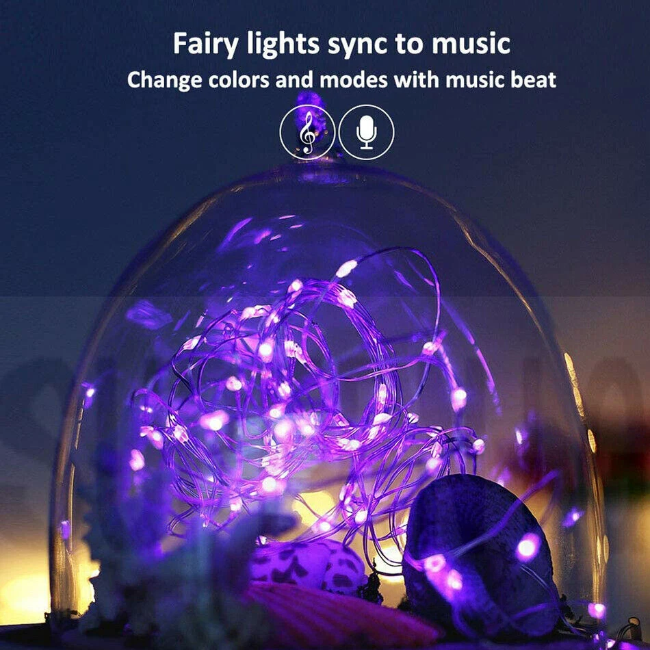 Thuis Koperdraad DC5V Led String Lights Usb Power Fairy Verlichting Met Afstandsbediening (8 Modi) wit Warm Wit Rgb Blauw String Lights
