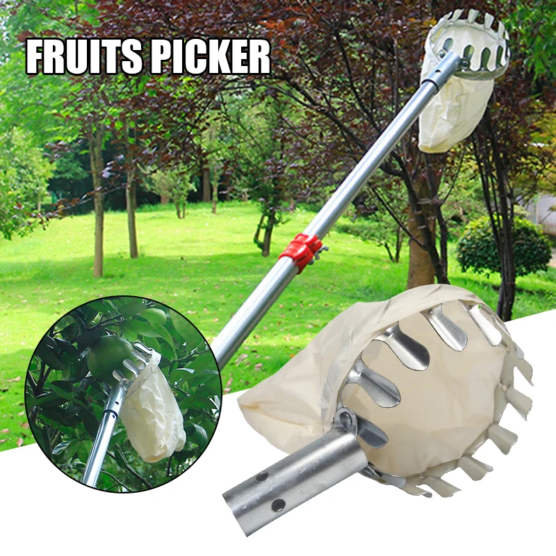 PICECE-mir à Tête pour Fruits de Jardin, Outils de Cueillette, Attrape-Fruits pour la Récolte, Cuecroisement de Citroëme, Outil de user inage