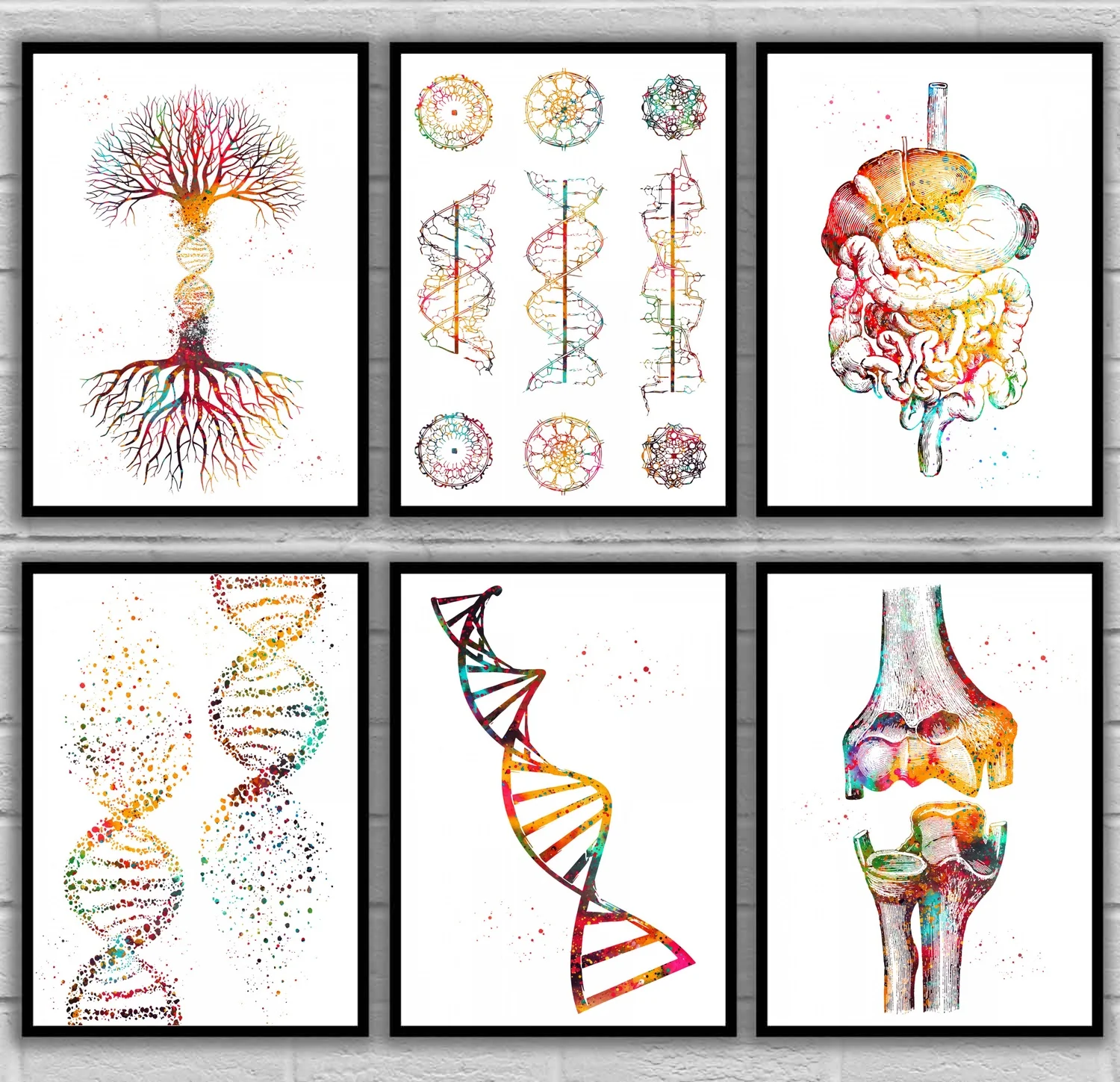 Dna double helix DNA helix conformation DNA Tree Double helix Elbow Female muscle Anatomical Medical And Science canvas Poster