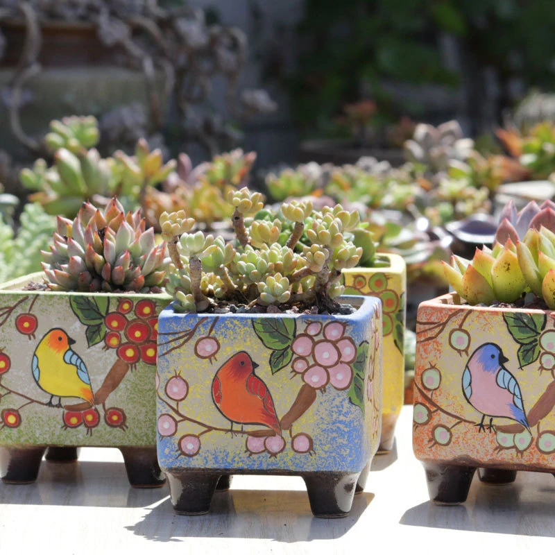 

Hand-painted Succulent Plant Pots Three-dimensional Relief Stoneware Pots with Square Feet Spray Glaze Without Green Ceramics