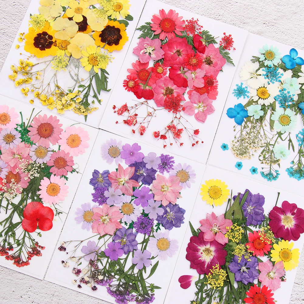 Dried Flowers UV Resin Decorative Natural Flower Stickers 3D Pressed Dried Flowers Beauty Decal Nail Art Epoxy Mold Filling