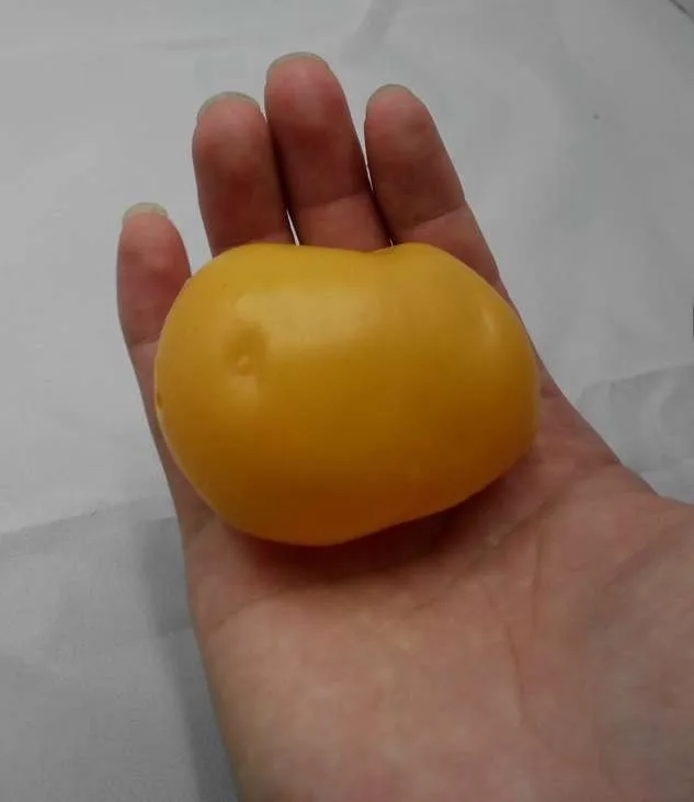 Food Toys Simulation Wholesale Play Educational Toys Vegetables Are Potatoes, Potatoes The Girl Baby Kindergarten Children 2021