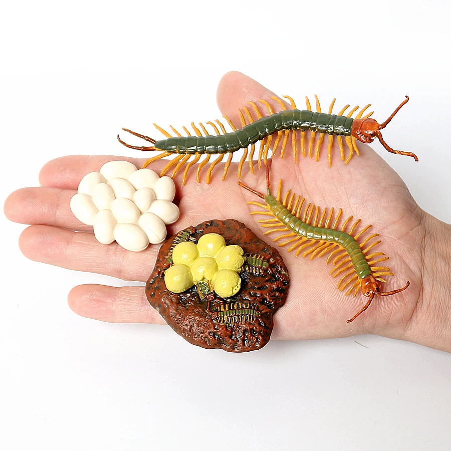 Simulation Green Bean,Cicada,Octopus,Centipede,Horseshoe crab,Crocodile,Scorpion,wasp Growth Cycle Model Figures Educational toy