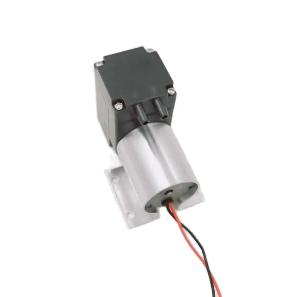 oil free,low power consumption, corrosion resistance 12v brushless dc motor