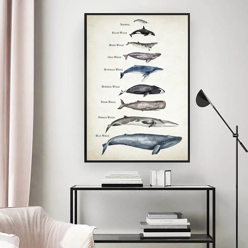 Whales Size Comparison Chart Prints Whale Watercolor Child Educational Posters Nursery Wall Art Pictures Kids Room Decoration