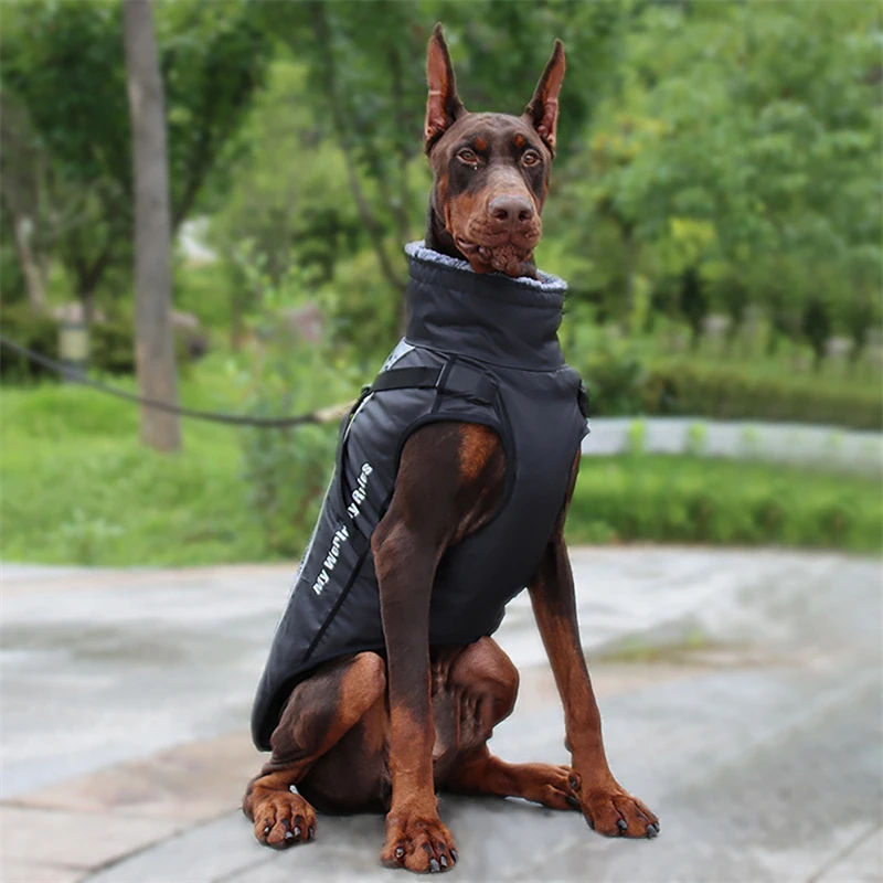 Chaqueta impermeable para perros grandes, abrigo con arnés, ropa reflectante cálida para mascotas para perros medianos y grandes, ropa Pitbull,
