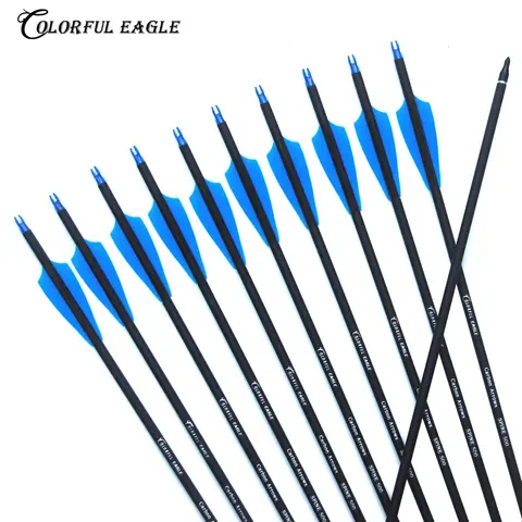 28/30/31 Inch Archery Carbon Arrows Spine 500 Hunting Replaceable Steel Point Nocks Proof  For Recurve & Compound Bow Shooting