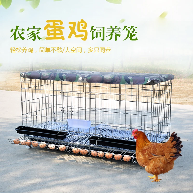 Chicken Cage   Home Egg Poultry Breeding  Folding    and Duck Automatic Rolling