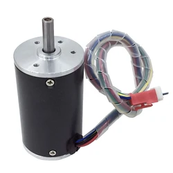 DC 12V 24V 2000/3000/4000/5000RPM opzionale piccolo motore Brushless DC azionamento integrato per fai da te sostituire il motore 38SRZ-S