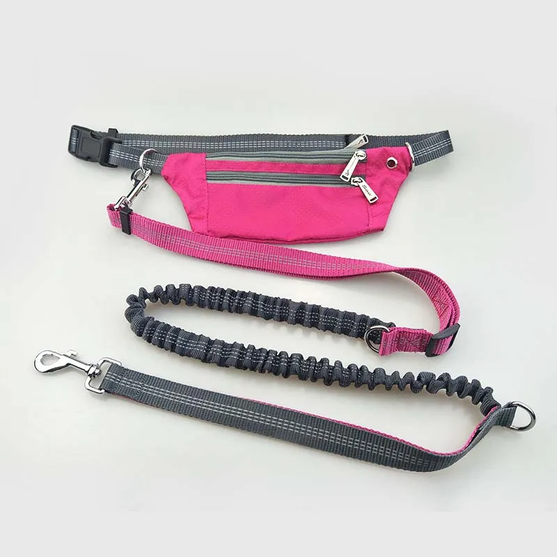 Laisse pour chien avec poches étanches à la taille, ceinture de coulée, collier élastique, UL, course, jogging, marche, fournitures pour animaux de