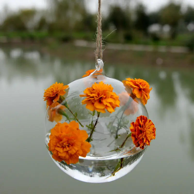 Terrarium Ball Globe Shape Clear Hanging Glass Vase Flower Plants Container Ornament Micro Landscape DIY Wedding Home Decor