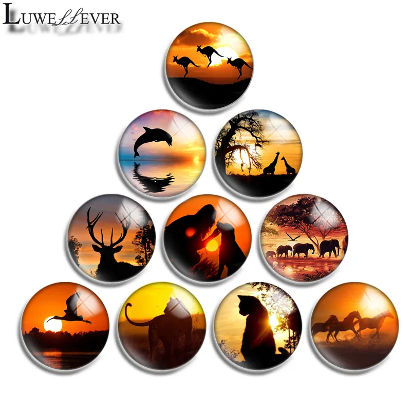 10mm 12mm 16mm 20mm 25mm 30mm 577 Sunset Animal Mix Round Glass Cabochon Jewelry Finding 18mm Snap Button Charm Bracelet