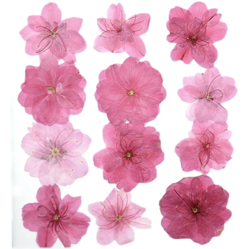 120pcs Mixed Pressed Dried Flower Natural Cherry Blossoms Herbarium Epoxy Resin Jewelry Making Makeup Face Nail Art Craft DIY