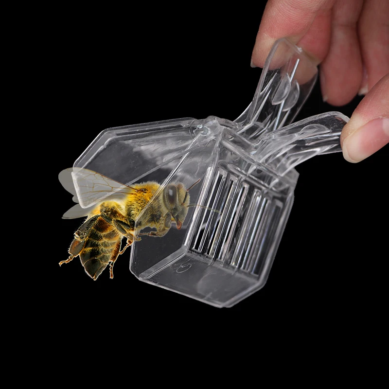 2 Pcs Plastic Queen Cage Clip Bee Catcher Transparent Plastic Clip Cage Beekeeper Equipment Isolation Room