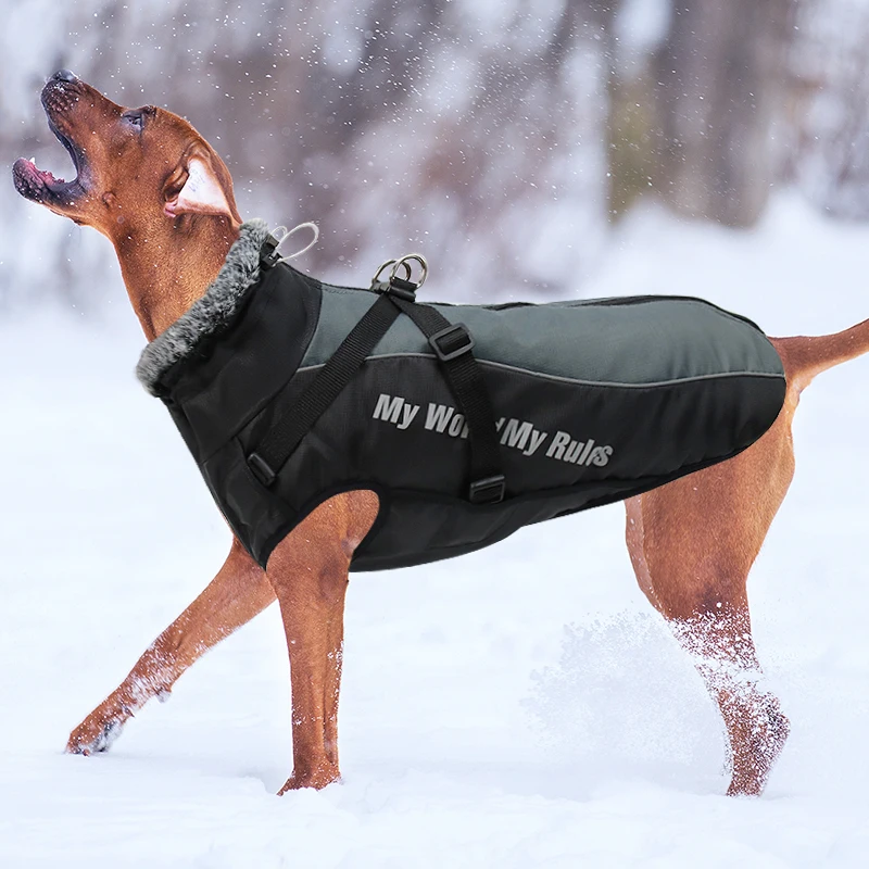 Winter wasserdichter Hundemantel, warme Haustier-Pelzkragenjacke mit abnehmbarem Geschirr, große Hundekleidung, Bulldoggen-Outfit, Labrador-Kostüme – Detail 3