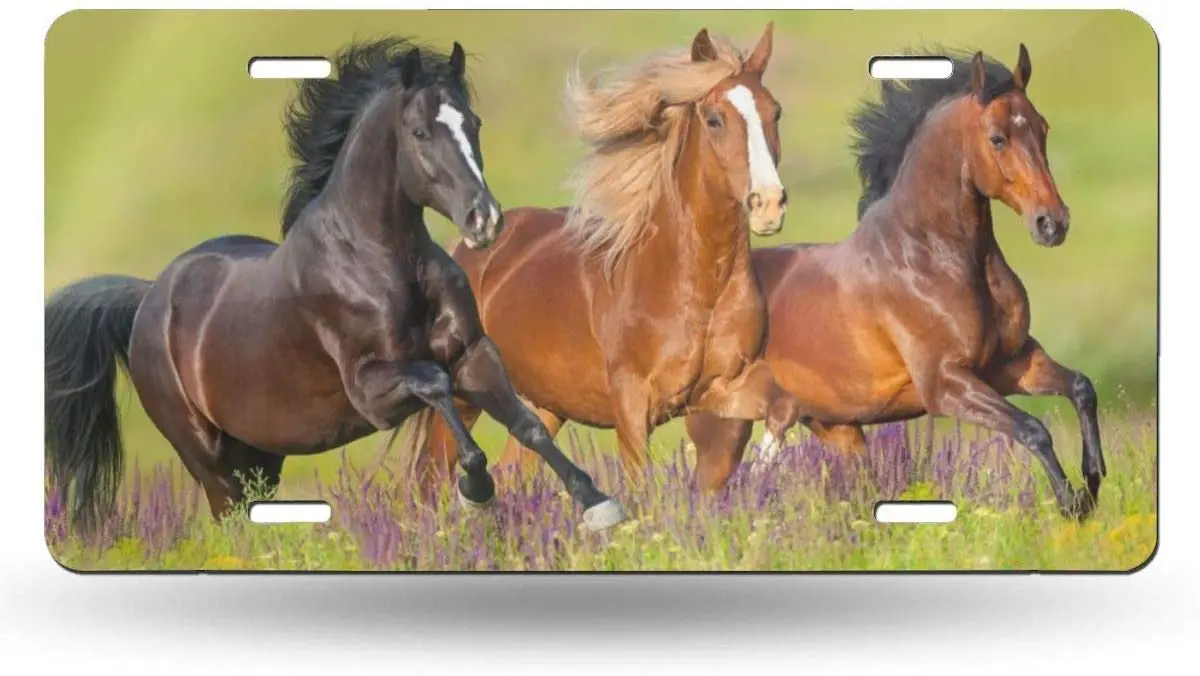 

Horses Running License Plate,car Decor Personalise Tag,Novelty Car Front License Plate Metal Aluminum Car Plate
