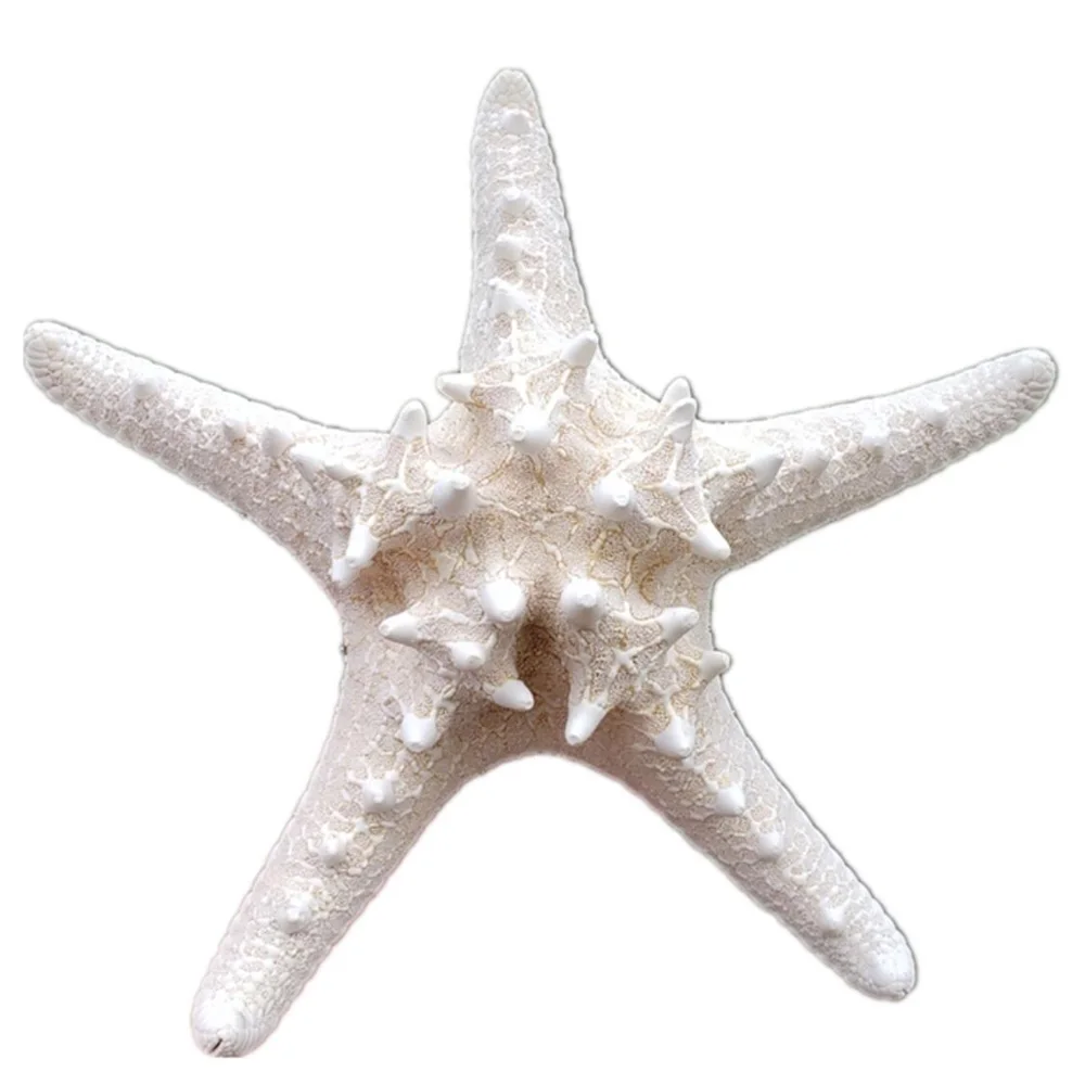 2pcs/pack 18-20cm size natural white Conch sea starfish shell&Natural Sea Stars DIY Beach for home decoration or gift