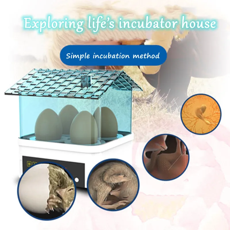 

15W HouseEggs Incubator Brooder Bird Quail Chick Hatchery Incubator Poultry Hatcher Turner Automatic Home Incubation Tools Hatch