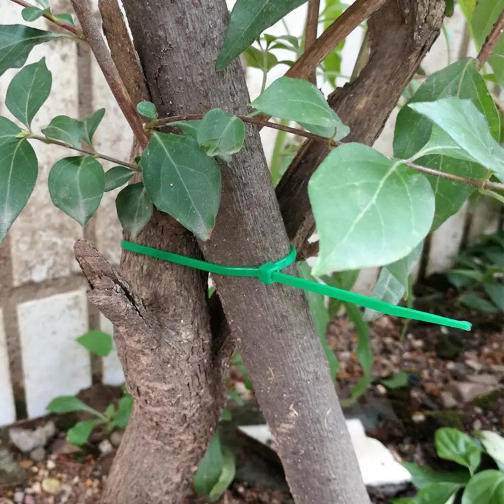 Juego de cables de flores de jardín de plástico con autosujeción ajustable, lazos giratorios, para plantas, 50 Uds.