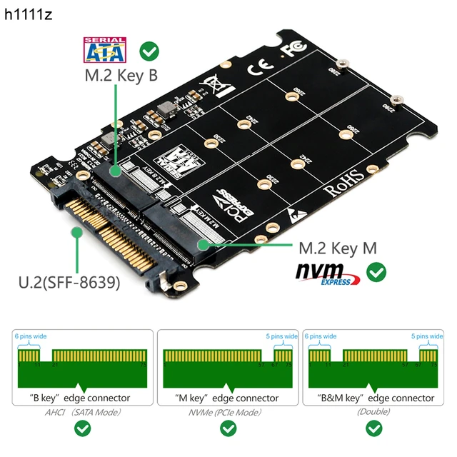 M.2 SSD TO U.2 2in1 M.2 NVME SATA Bus NGFF SSD PCI E U.2 SFF 8639 PCIe m2 Converter AliExpress