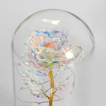 Galaxy Rose LED Dome Gift #6