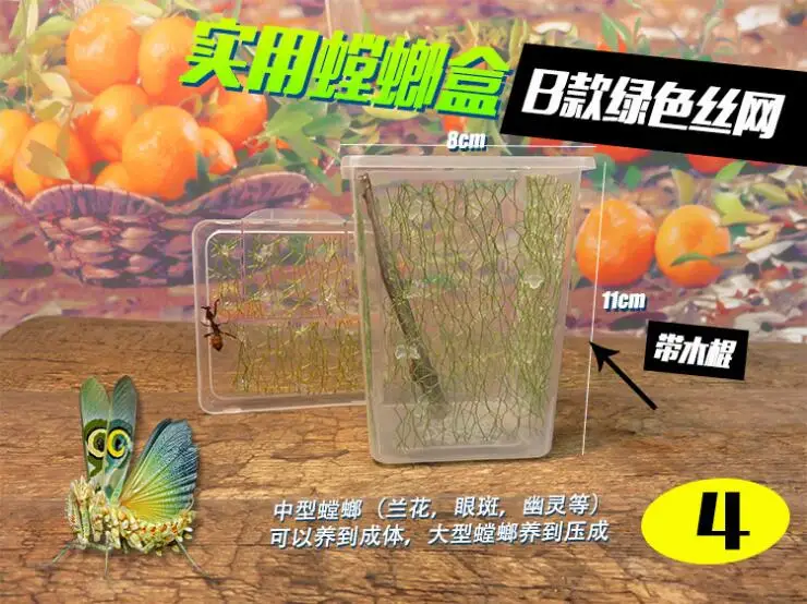 Plastic cubic mantis box crystal insect tank little animal feeding cage reptiles resting entertainment habitat pets container