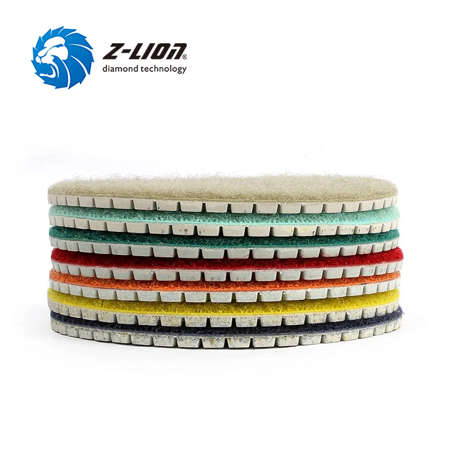 Z-LION 7 Piece 4\