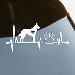 Belga malinois cortado vinil decalque etiqueta do carro à prova dwaterproof água auto decorações no corpo do carro pára-choques traseiro janela portátil # s60323