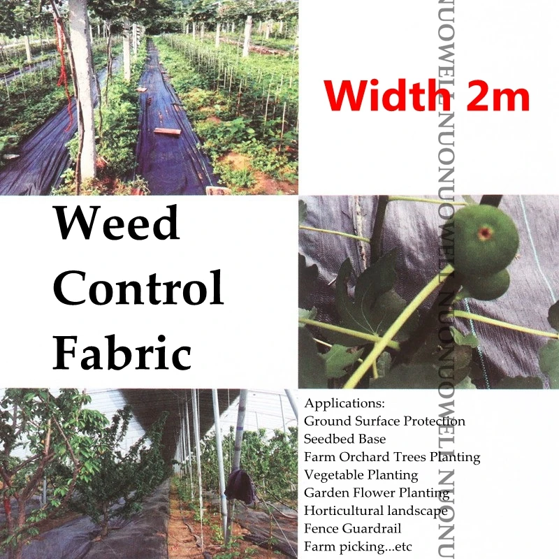 Width 2m Weed Control Fabric Black Plastic Anti Grass Ground Cover Greenhouse Ground Surface Protection Weed Control Mat