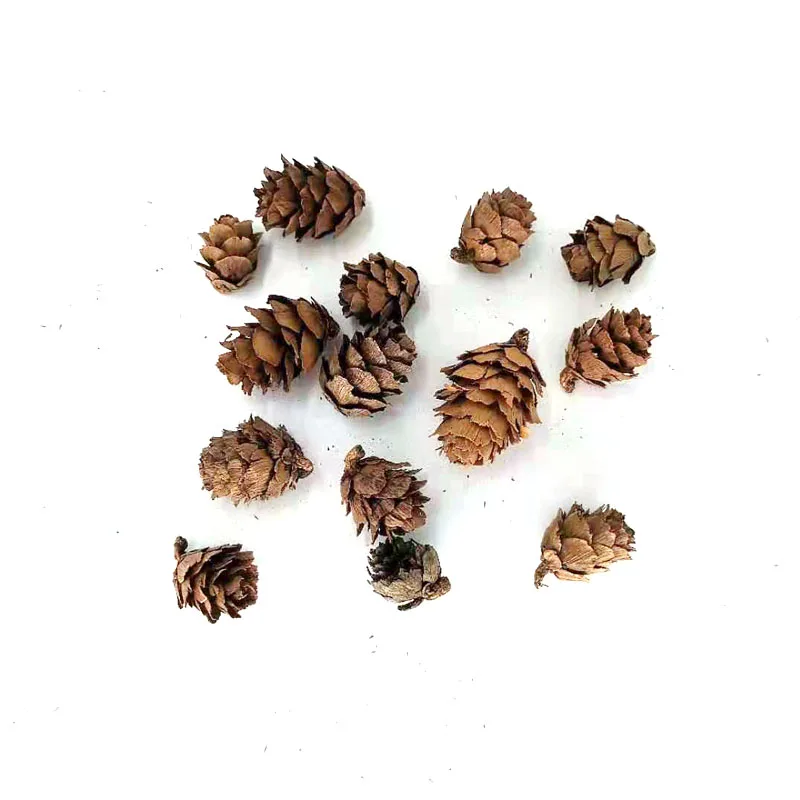 Natural Mini Pine Cones for Home, Wedding, Christmas, New Year Tree Decoration, DIY Scrapbook, Gift Box Decor