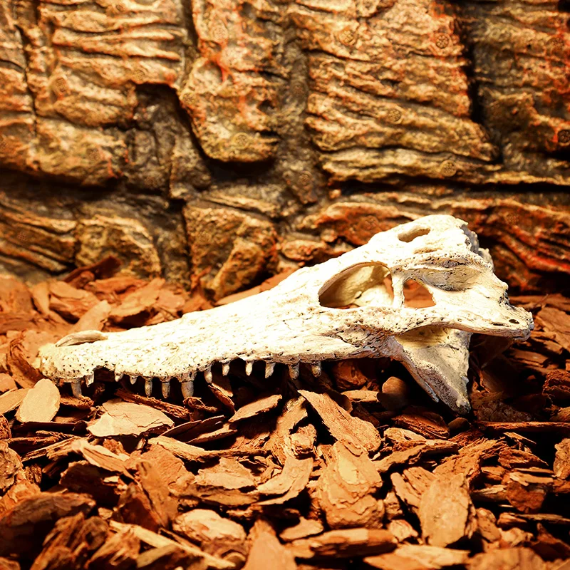 Crocodile dinosaur bone dodge house resin reptile habitat aquatic landscape simulation skull aquarium decoration