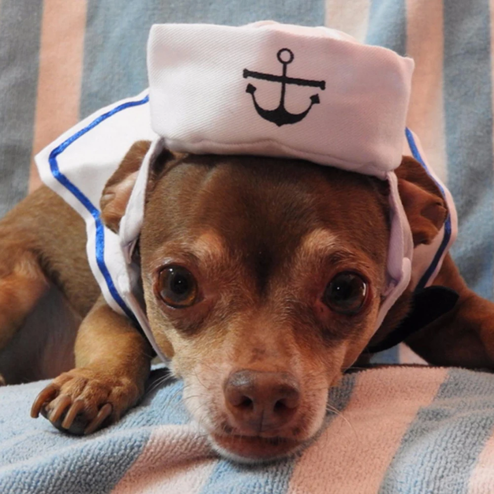 Lovely Stylish Navy And Sailor Style Hat Plus Scarf Suit For Dogs And Cats Pet Cap And Cape Navy Cloak Cat Cosplay Cloth