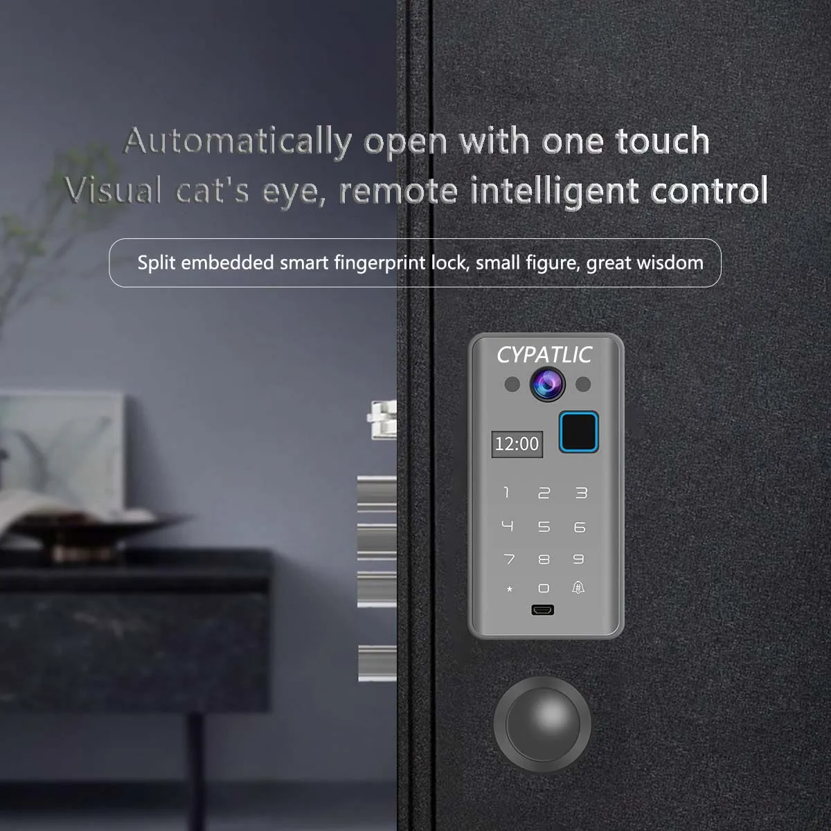 Remote visual peephole embedded ultra-thin automatic smart lock anti-theft door electronic password fingerprint l