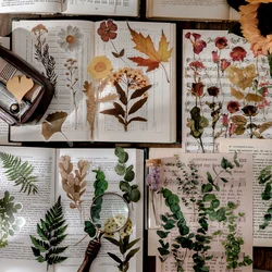 Vintage Plant Specimen Thin Series PET Stickers Aesthetic Waterproof Hand Account DIY Bullet Journaling Accessories Deco Sticker
