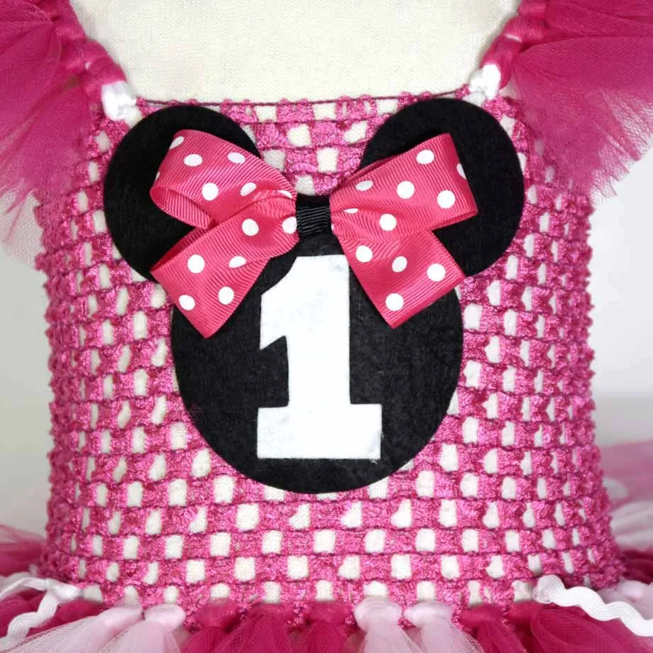 Minnie Tutu Dress and Mouse Ears Headband Set Hot Pink Mouse Birthday Tutu Dresses Minnie Tutu Costume for Girls 1-12Y