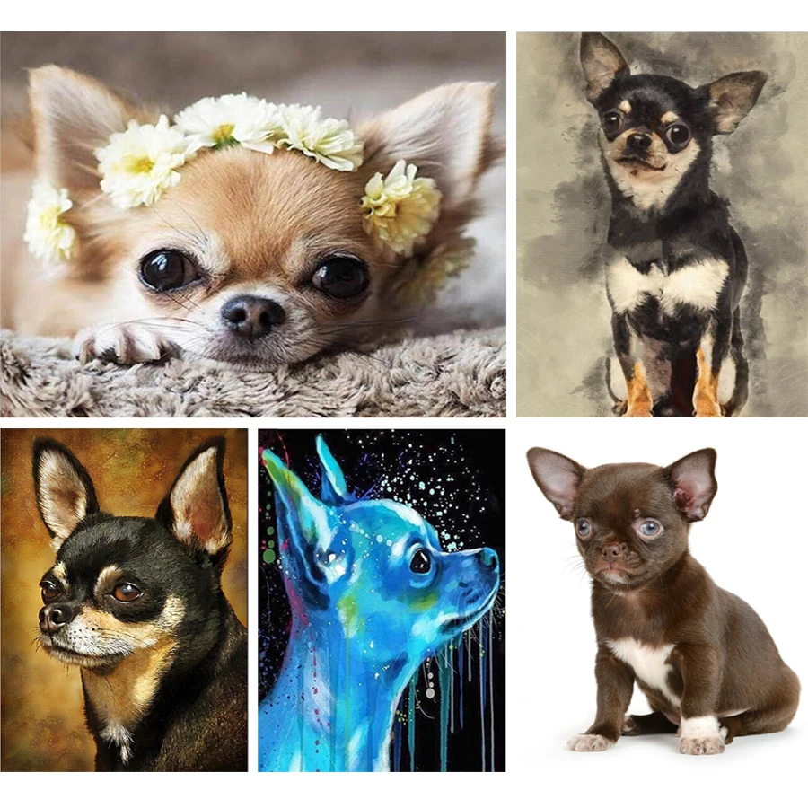 5D DIY Diamond Painting Chihuahua Dog Cross Stitch Needlework Full Round Rhinestone Mosaic Diamond Embroidery Crafts Decor