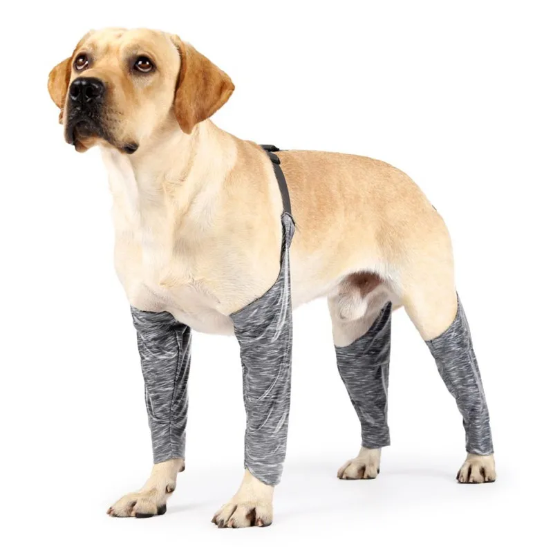 Dog Recovery Shirt Pet Outdoor Four-legged Pants Canine Sling Leg Cover Jumpsuit Anti Licking Wounds Help Operative Healing