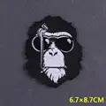 PE5538CT