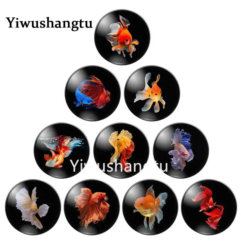 

New cute Goldfish colorful fish 10pcs 10mm/12mm/18mm/20mm/25mm Round photo glass cabochon demo flat back Making findings