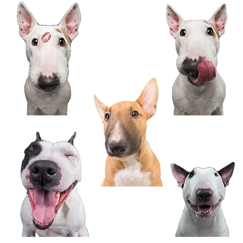 QD112 Śmieszny Bull Terrier Uroczy Pies Naklejka Dekoracja Domu Lodówka Naklejka na Laptop Toaleta