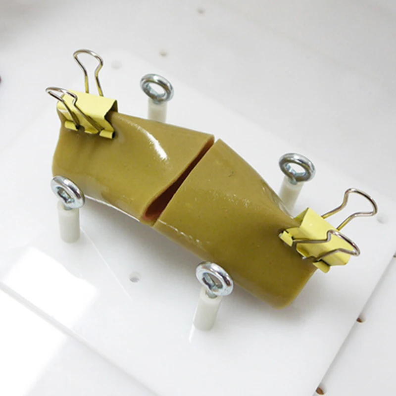 Intestinal Suture Training Model Intestinal Suture Model Bracket Clip Laparoscopic Surgery Training Medical Practice Aids