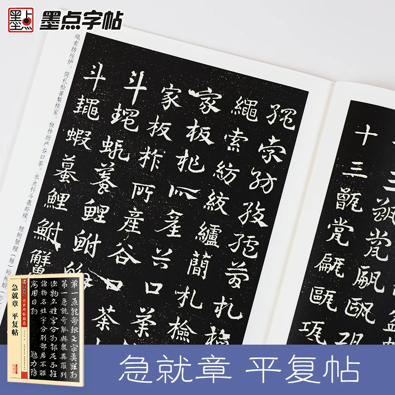 Chinese Writing Book Brush Calligraphy Copybook Rubbing Practice Stone Inscription Circulated Tablet Learn Ji Jiu Zhang Beginner