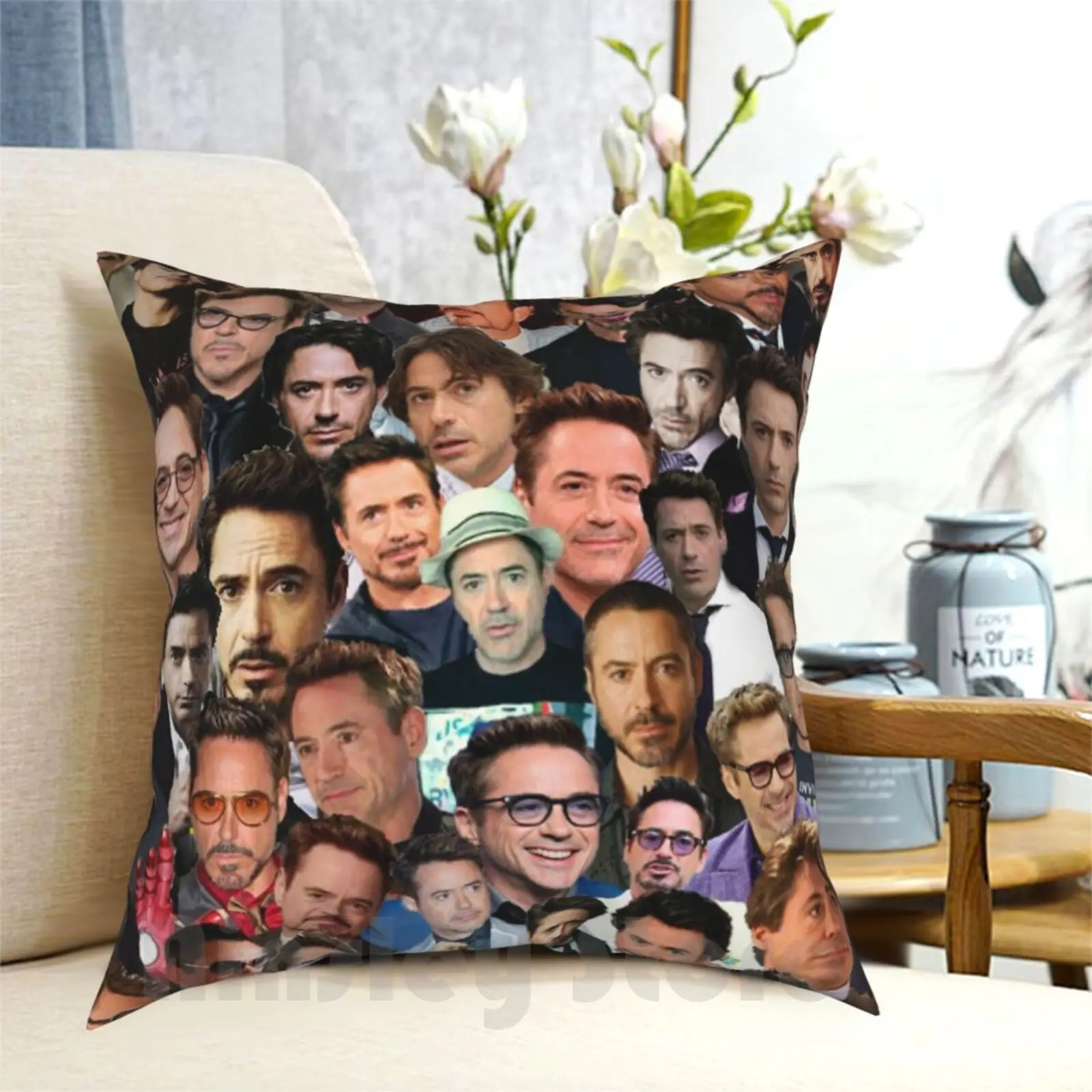 Robert Downey Jr. C…