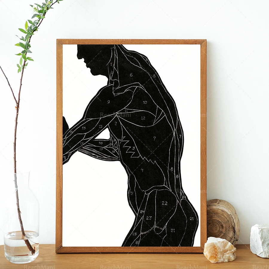Vintage Art Poster Print-Anatomical Study of Human Leg and Arm Muscle Contours (1906-1945)