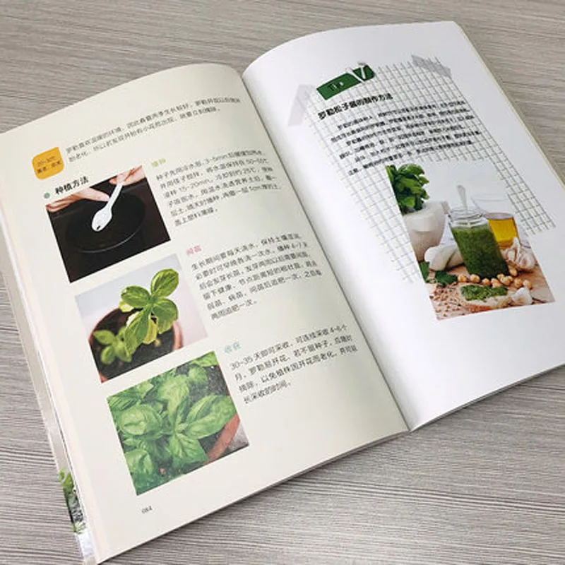 Imagem -03 - Livro Conjunto Ensiná-lo a Cultivar Legumes Mais Minha Família Horta 2