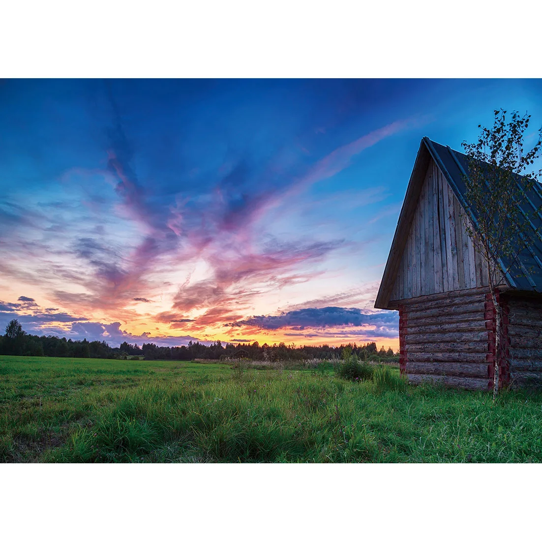 Rustic Sunset Wooden House Landscape Photography Backgrounds Vinyl Backdrops Photo Studio for Portrait Children Baby Photoshoot